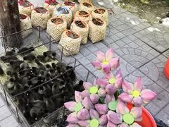 -白洋淀景区