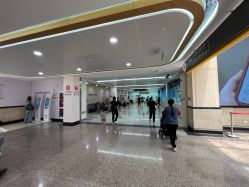 点击看大图 -上海交通大学医学院附属上海儿童医学中心(陆家嘴总院区)