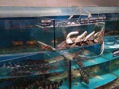 -百纳·锦绣江南 (百纳瑞汀酒店)