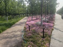 -汉长安城未央宫国家考古遗址公园