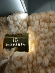 点击看大图 -赫本轻奢美颜中心