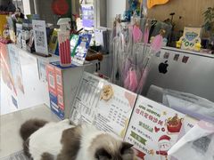 -四月宠物医院·猫专科·心脏专科·内科(转塘店)
