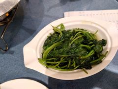 茼蒿-古南都·江苏酒家(建宁路店)