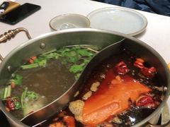 -菌子鲜汤野生菌锅
