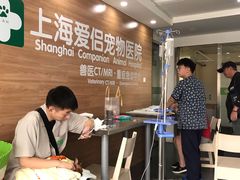 -爱侣宠医·鹦鹉专科·小型哺乳类·异宠专科(灵石路店)