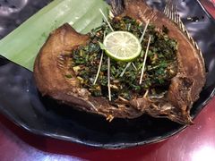 -茶花妹子云南餐厅(北大店)