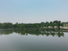 -东郊湿地公园