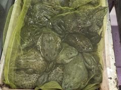 -金宝生活市场(东五环店)