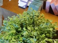 -端艾堂·SPA·艾灸(棕榈泉013店)