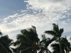 -珠海市博物馆
