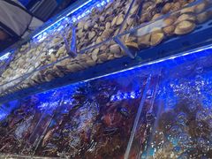 -四囍码头海鲜烧烤自助火锅(外滩南京东路悦荟广场店)