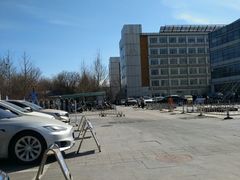 -首都医科大学附属北京地坛医院
