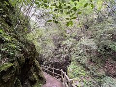 -牛背梁国家森林公园