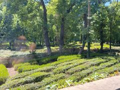 -野蔓果·山野菜(西湖景区·龙井茶田店)