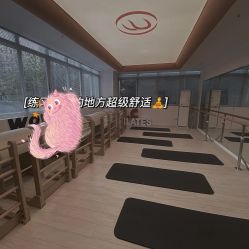 -意施精准塑形普拉提