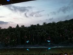 -三亚红色娘子军演艺公园景区