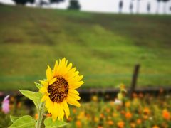-钟山体育运动公园