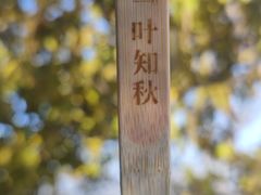 -香山公园
