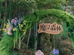 -龙湾潭国家森林公园