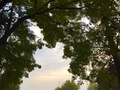 -清华大学-甲所餐厅