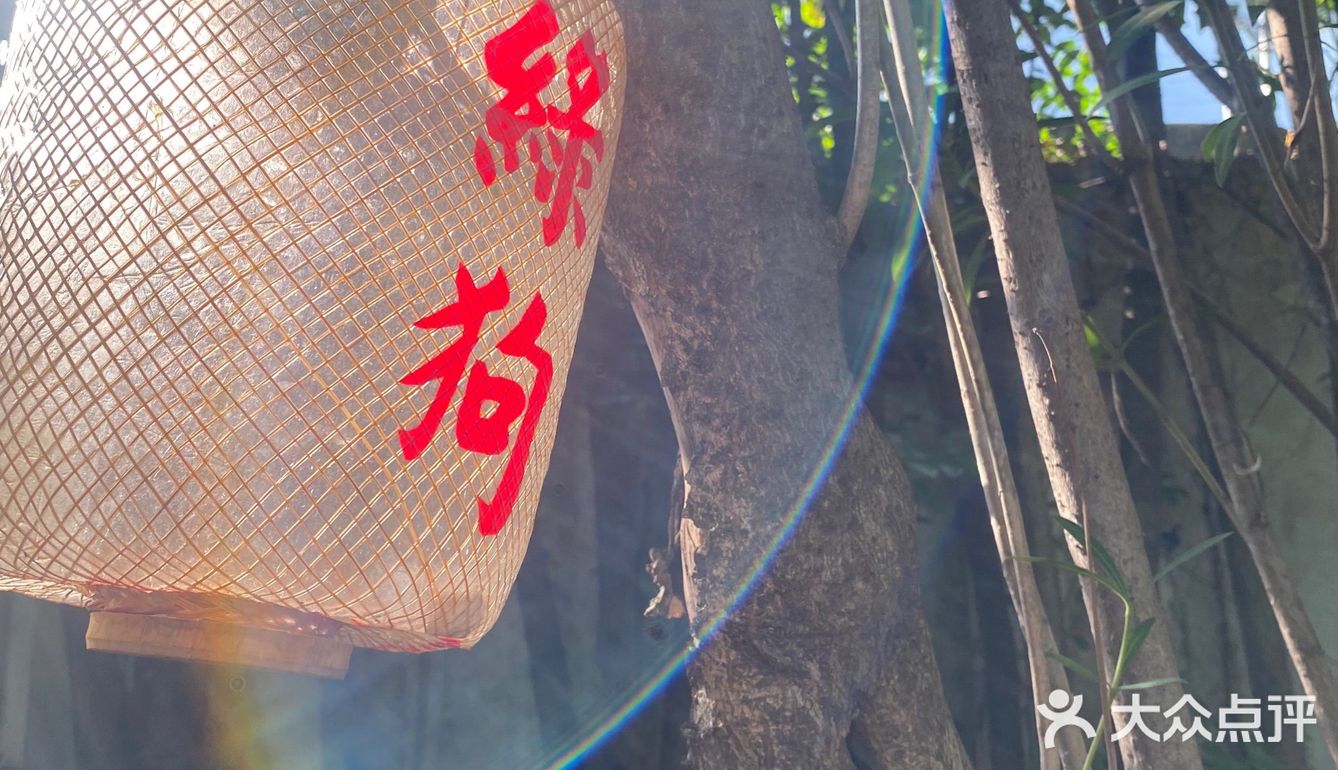 咖啡日常|绿意景浓的绿狗咖啡