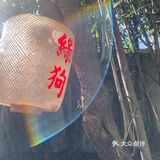 咖啡日常|绿意景浓的绿狗咖啡