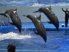 -福州罗源湾海洋世界旅游区