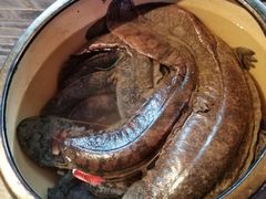 -印象鲵宴·张家界地标美食名片(溪布街店)