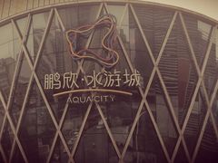 -鹏欣水游城