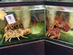 -镇发活海鲜(Clementi)