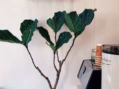 -red donkey coffee