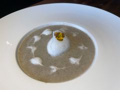 -百好乐宠物友好餐厅(朝外大街店)