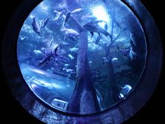 -成都浩海立方海洋公园