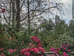 -深圳国际园林花卉博览园