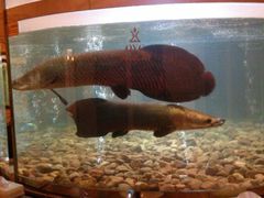 android_upload_pic-肇庆奥威斯酒店