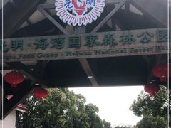 -上海海湾国家森林公园