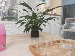 -Cocodemer女性健康·产后恢复(天一广场店)