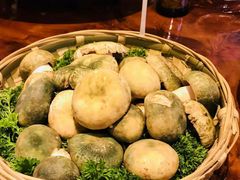 -醉云喃