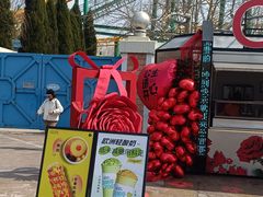 -大连海昌发现王国主题公园