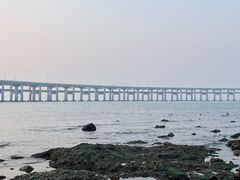 -星海湾跨海大桥