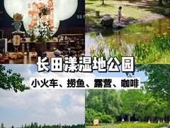 -长田漾湿地公园