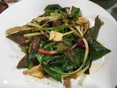 -文杏酒楼(一品天下店)