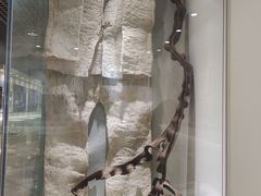 -昆明植物园