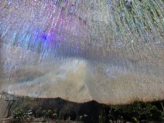 -南山植物园