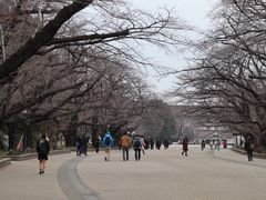 -上野公园花园稻荷神社(忍岡稲荷神社)