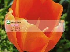 -无锡梅园公园