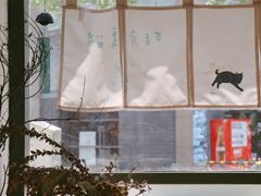 景观位-猫里有甜