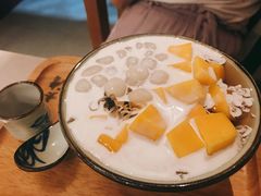 芒果海石花-太清凉茶糖水(前海店)