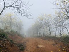 -锄山村