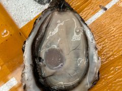 -众彩物流水产市场